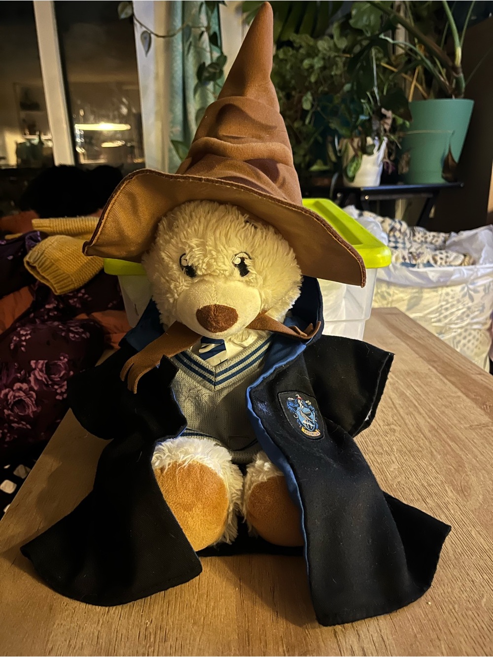 Plush Bear Wizard Toy in Brown Hat and Black Robe